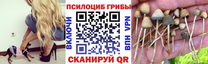 Псилоцибиновые грибы MAGIC MUSHROOMS  Микунь 