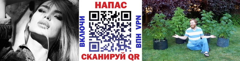 Марихуана Amnesia  дарк нет формула  Микунь  OMG как зайти 